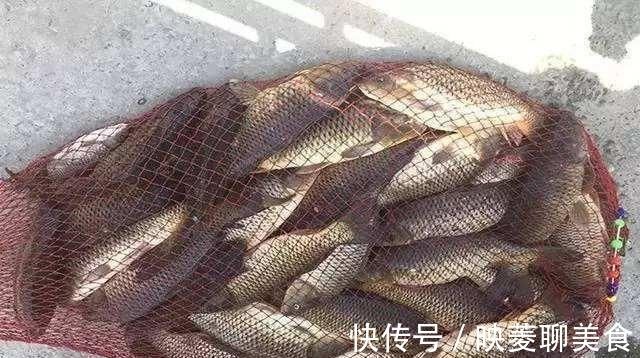 鲤鱼|大师是这样用玉米钓鱼的，以及老坛玉米的制作方法