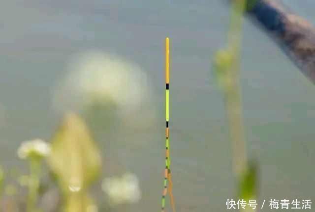漂相不中鱼|浮漂顶起又落下，提竿却均不中鱼解读3种奇怪漂相不中鱼的原因