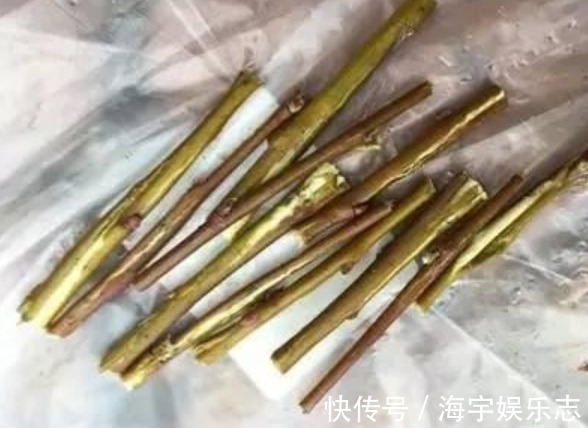 花卉盆栽|3种“垃圾”垫盆底,不黄叶烂根,1年四季叶子油绿,花开爆盆!