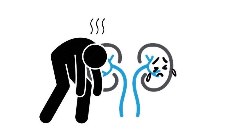 高血压肾病|就单纯肾病而言,糖尿病和高血压带来的就有3点不同,早该了解