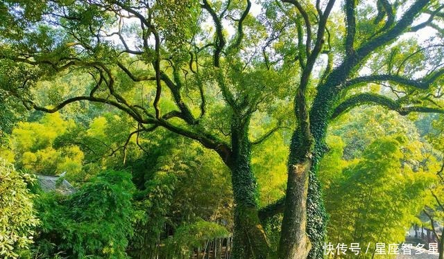  赫赫|岳麓书院——是中国历史上赫赫闻名的四大书院之一，学脉延绵