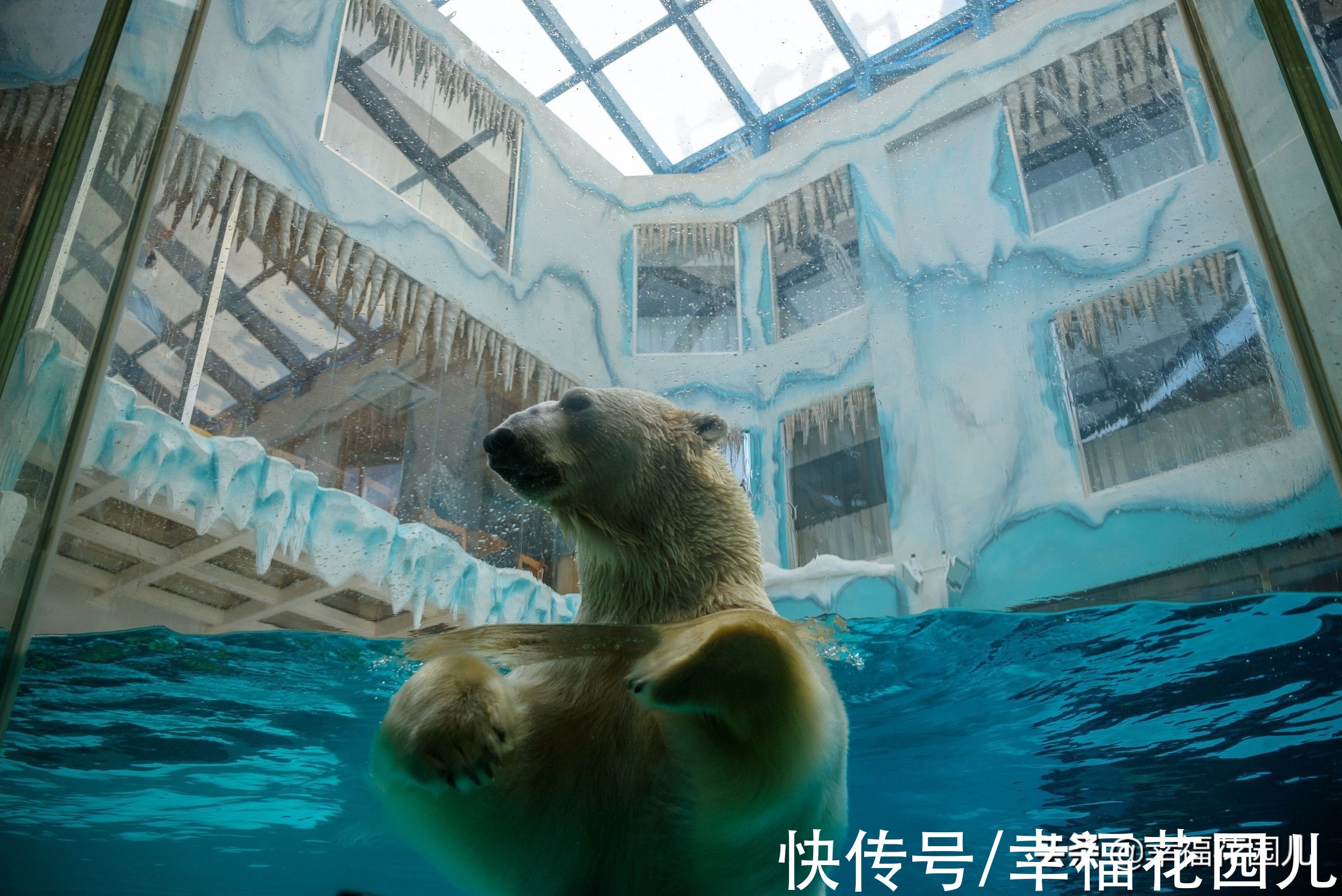 老桥|赏冰、玩雪、看美景，找回儿时过年的味道，就在非常冰雪黑龙江