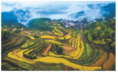 宁海湾|出游不远行 宁海乡村旅游等你来