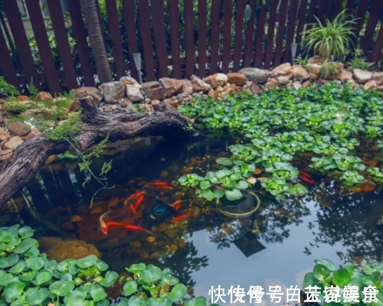 地面|为省钱他自己动手改造庭院!完工美翻了,这效果只花五千不到