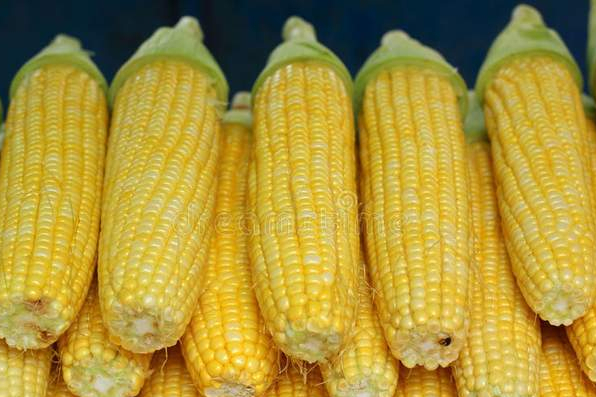 保存玉米，直接放冰箱，还是煮熟再冷冻教你一招，新鲜不变味