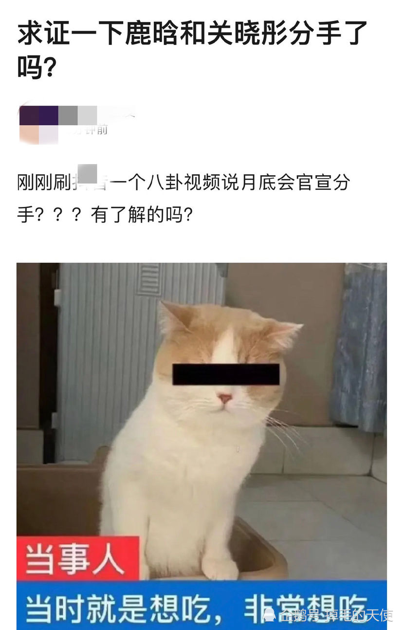 宋亚轩迎《王牌》首秀，183身高与关晓彤太般配，网友：鹿晗“危险”了