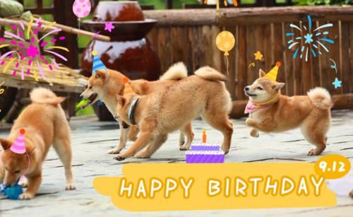 《向往5》曝光常驻MC人选,彭昱畅依旧常驻,但这次他也来了