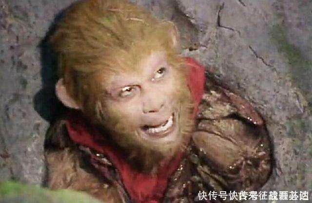 大闹天宫的不止孙悟空,猪八戒、杨戬也在其列,唯独悟空下场凄凉