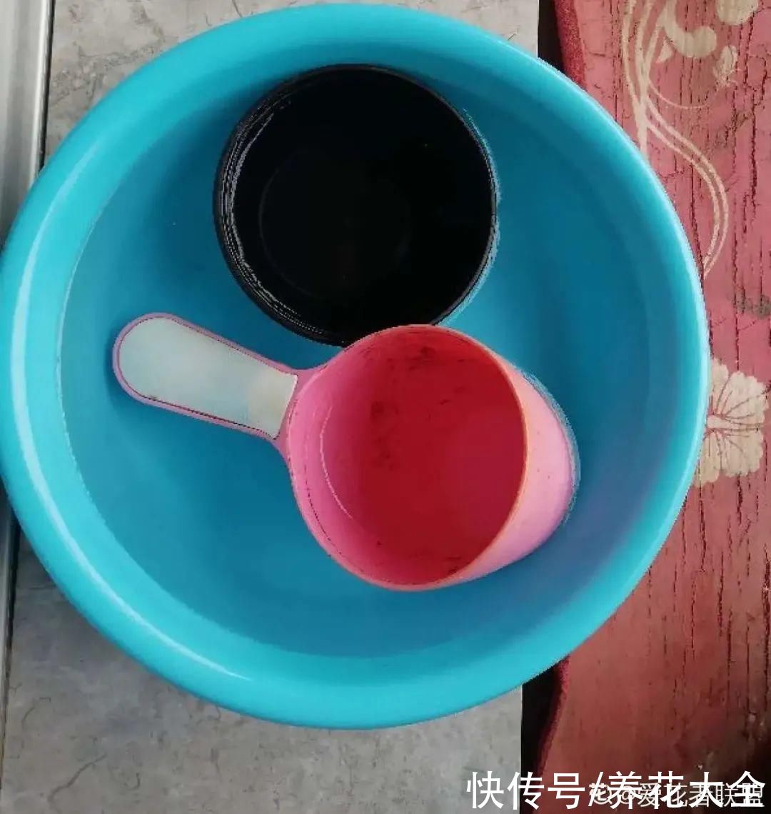 给花浇水掺点白醋,植物根比萝卜还粗,健壮不黄叶