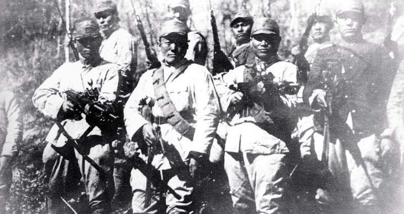 部队|这只鸟有何特别之处?将军看到后,大喊快撤