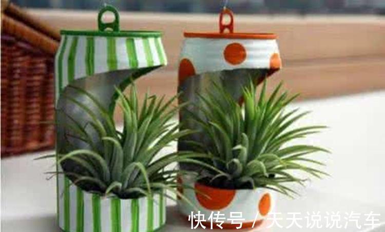 世上没有丑绿植，只有不好看的花盆