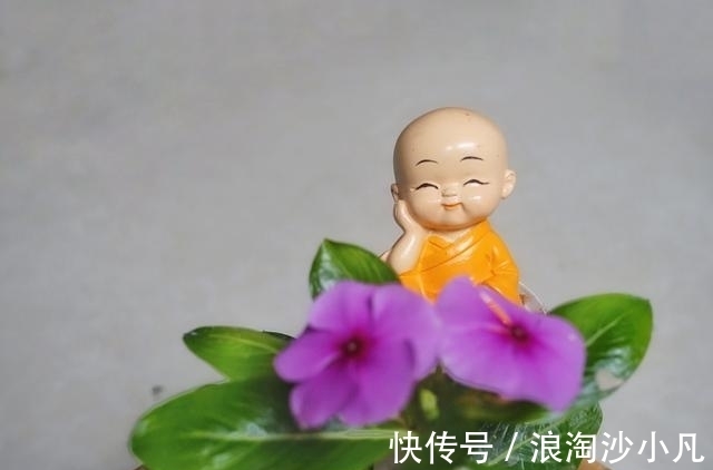 前任|命中注定，红鸾星动，月老牵线，旧爱回头，前任接受