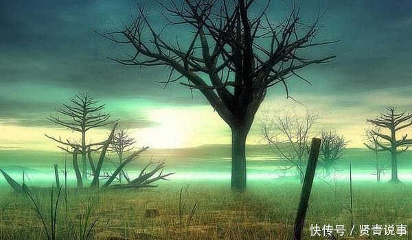 传说中的彼岸花——一个爱恨两难的故事