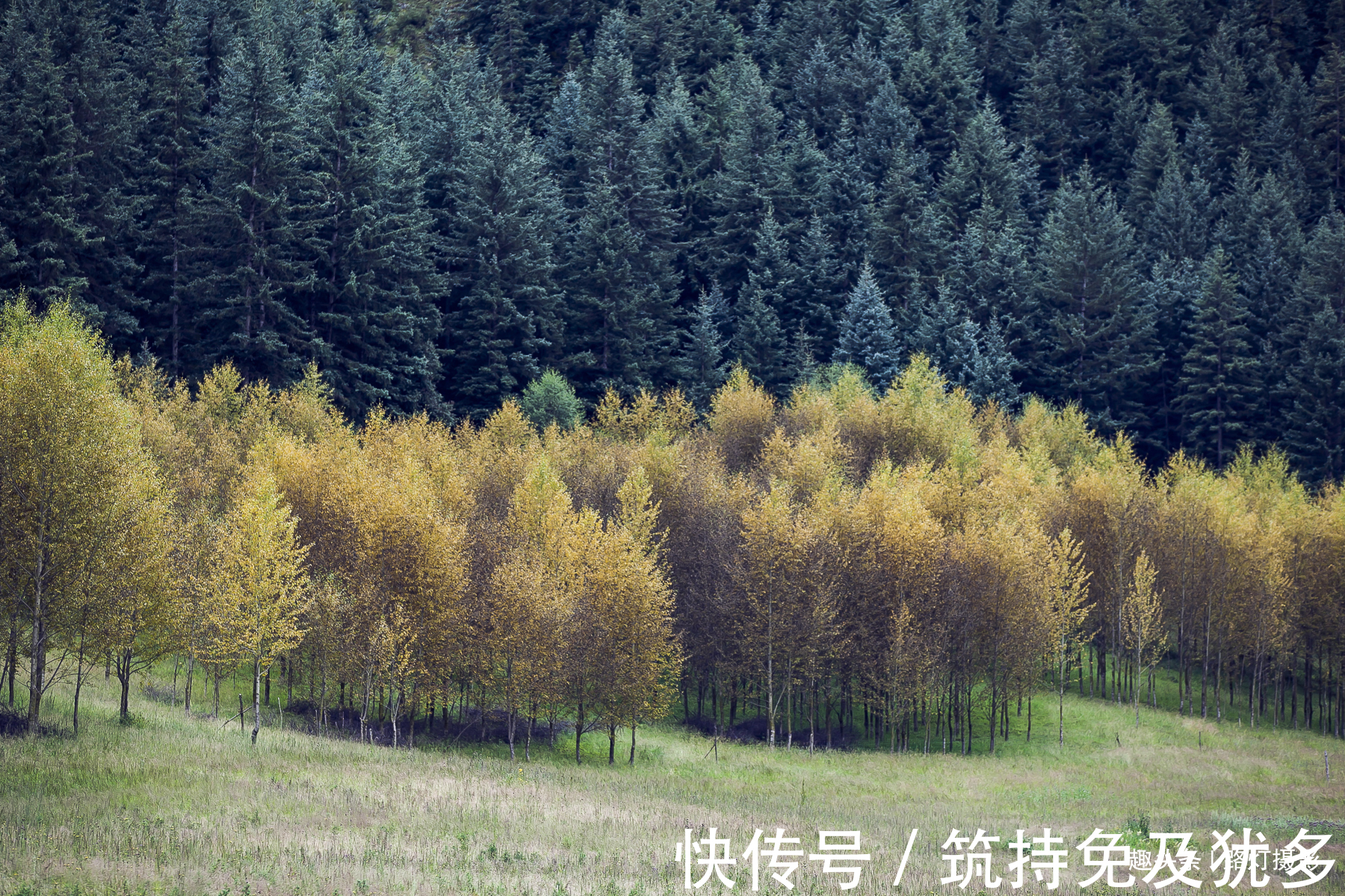 山洞|青海门源这条瀑布很神奇，从悬崖山洞流出，峭壁上达摩像若影若现