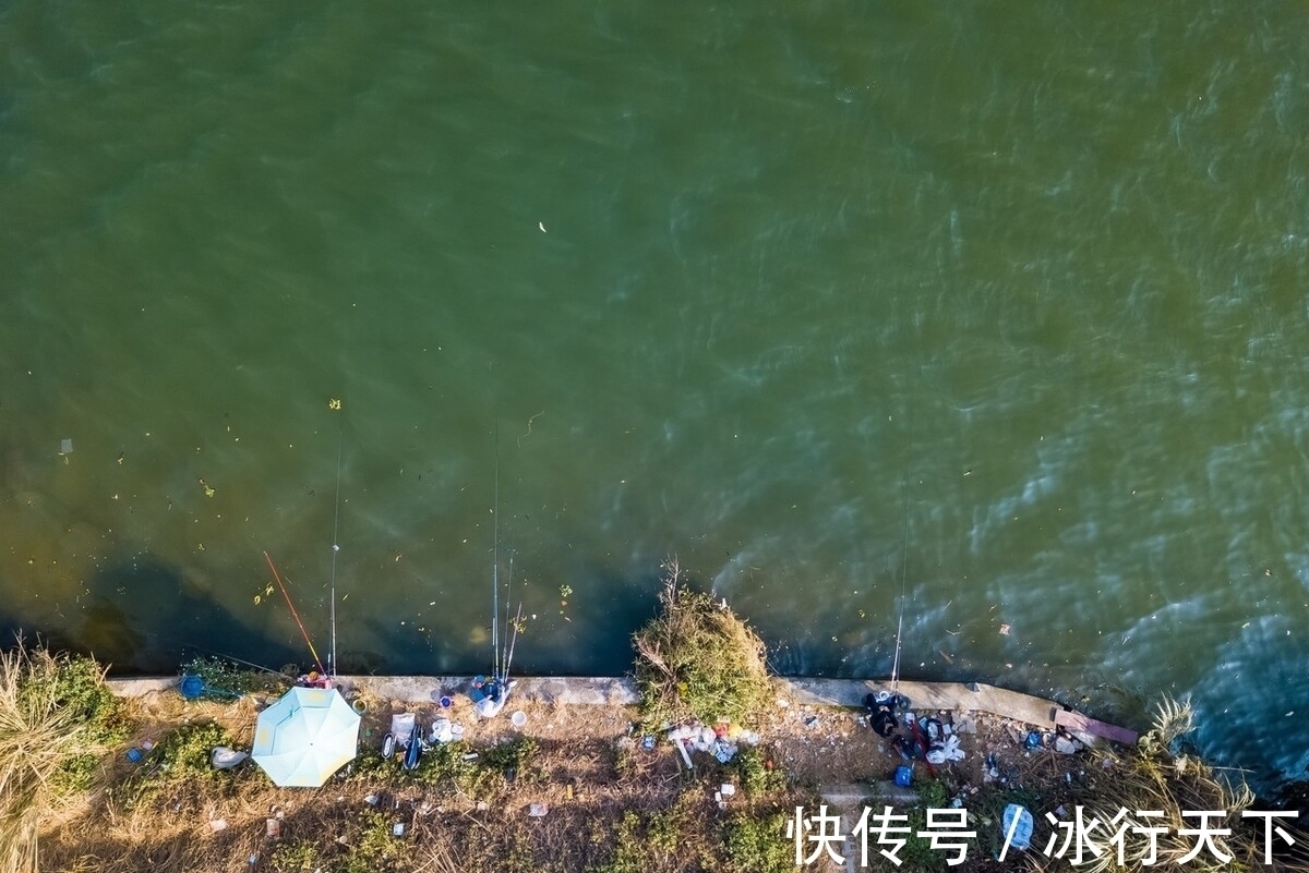 浮漂没动作却中鱼,怎么调漂都没口?钓友:你的浮漂用错了!