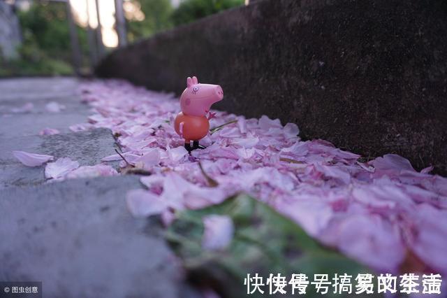 |25个超级幽默笑话,别有风趣段子,笑点再高也挡不住