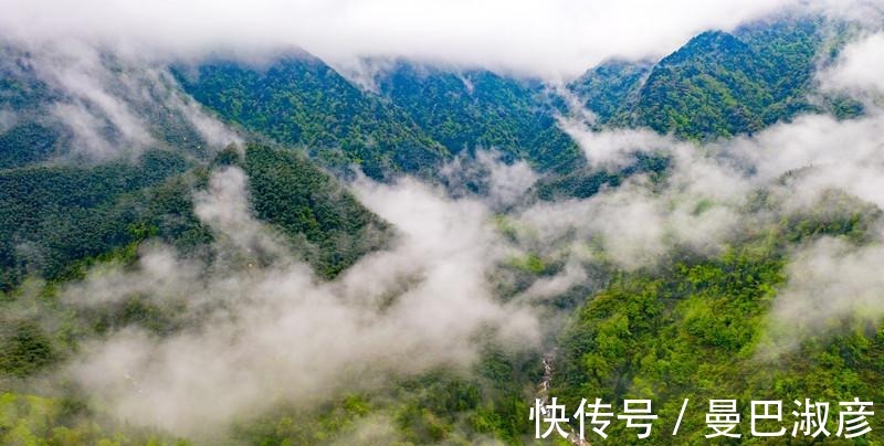 避暑胜地|中国最美的高山草甸，被称为绿色天堂，是著名的避暑胜地