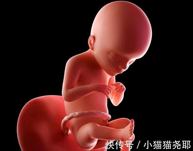 准妈妈|怀孕1~40周，每周身体有何变化？送你一份“孕期清单表”！