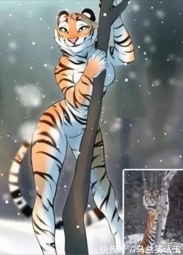 |小白段子社34：这两拨人打架，哪边的胜率更大？
