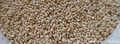 超简单的家庭版“五香牛肉干”,孩子大人都喜欢吃!