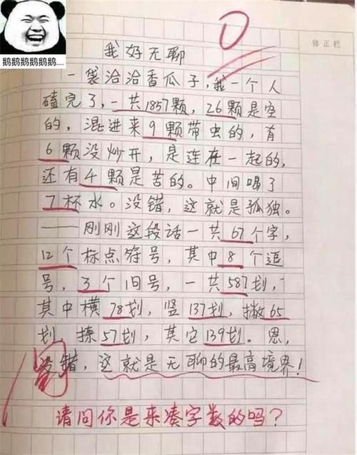字数|小学生“0分作文”走红，老师认为凑字数，宝妈懵了应该满分