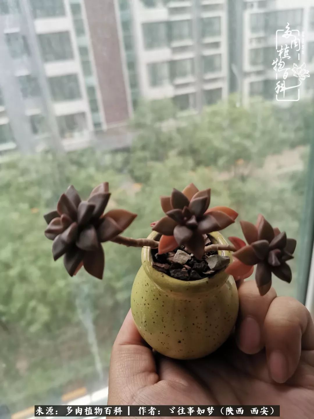 愿你付出甘之如饴,愿你所得归于欢喜!