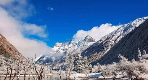 二姑娘山|最适合大熊猫的栖息地！拥有丰富中药资源，被誉为“东方圣山”