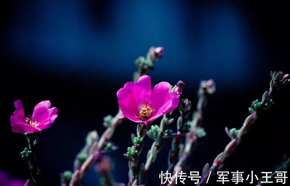 黄庭坚#云水禅心,人生至美