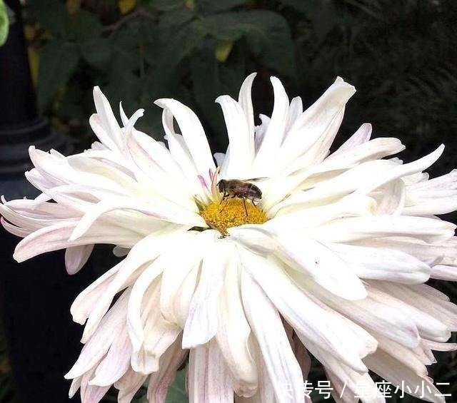 传统|宋江仅是施耐庵的宋江,是文人笔下一个传统道德践行者的化身