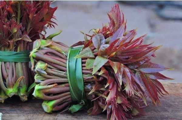 田間這四種野菜個(gè)個(gè)是寶，不僅能清熱解暑，而且還活血化瘀