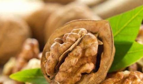 补充蛋白质|清晨空腹吃几个核桃,坚持下去,5件“喜事”将会不请自来