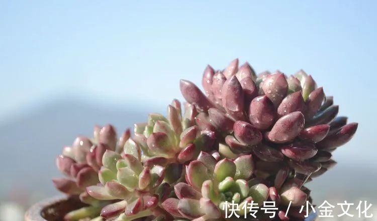 以阳光为滤镜,蓝天为背景,期待拥抱春天,拥抱自然!