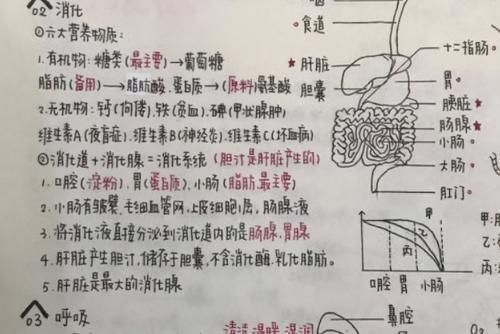 初中生#“奶酪字体”和“鲸落体”对比，同为学霸字体，但差距显而易见