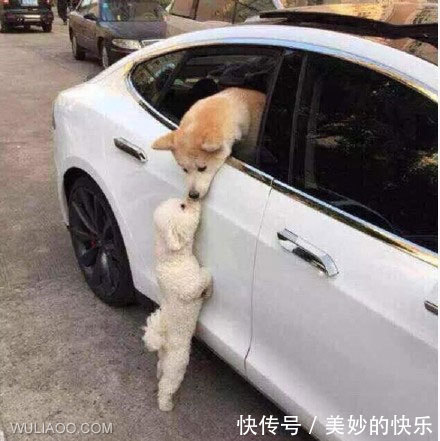 |搞笑图片:借个光,让我也看看