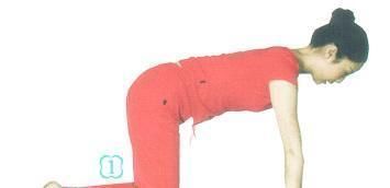 腰部|腰痛走不动站不直?每天几个瑜伽动作,缓腰痛还能瘦腿细腰