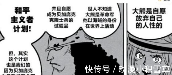 世界政府|海贼王:乔艾莉·波妮竟然是暴君熊的母亲,信息量太大