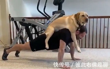 做俯卧撑|健身的最佳拍档,你绝对想不到!