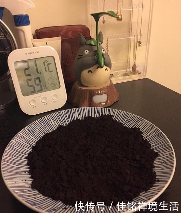 每次路过咖啡店我都会去要一包免费的咖啡渣,它的妙用实在是不少