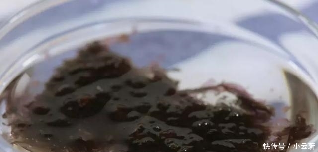 初秋滋补少不了这一碗!好消化、好吸收,鲜香暖胃,简单到起飞