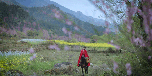 一物一生，吃完萝卜，一生系列就停在这里了吧