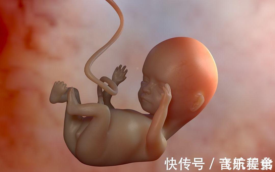 四维彩超|怀“小王子”的宝妈,身上有这4大特征,赶快接好孕吧