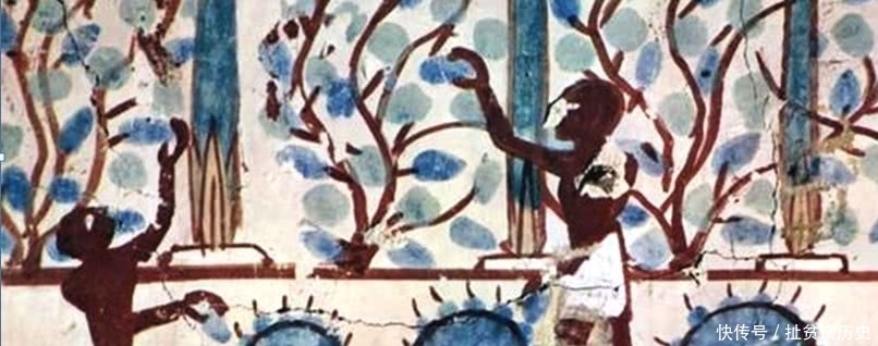 约束|从希腊罗马到中世纪,前近代的欧洲,如何奠定当今法律的基础的?