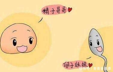 经周期|亲爱的,你连这都不懂,再备孕30年也不成!