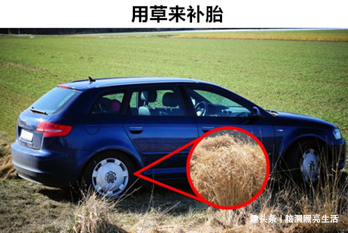 生存|平时看似没有用,但在关键时刻能帮助你摆脱危险的8个生存技巧