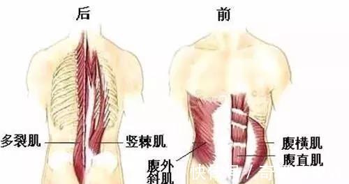 腰痛|腰疼得直不起腰？这五个动作专治腰肌劳损