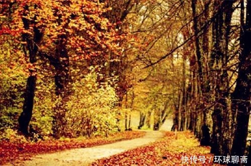 古典君|断鸿渺渺空银海,疏雨潇潇满玉楼;八首七律诗,已是天凉好个秋