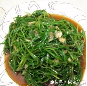 你可能连见都没见过的皇席菜,它含有18种对人体有用的有益菌!