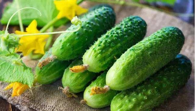 鸡蛋炒散|常吃黄瓜的人,身体不会差,但切忌与此物同吃,很多人还傻傻不知