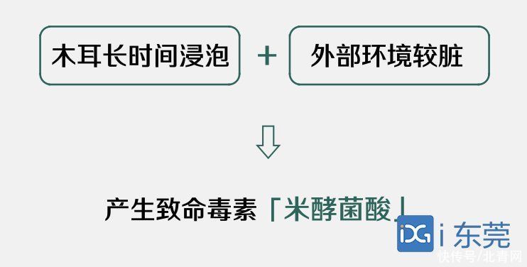 椰毒假单胞菌|广东紧急提醒！近期这些食物易产生毒素，食用时应注意→