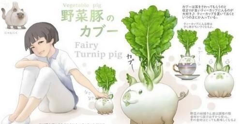 憨憨鸭|各种蔬菜的动物化,生姜变成了憨憨鸭,菜狗表情包的来源找到了